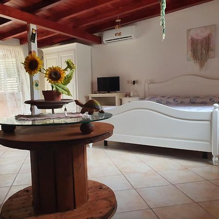 Chalet Con Giardino 兰佩杜萨 外观 照片